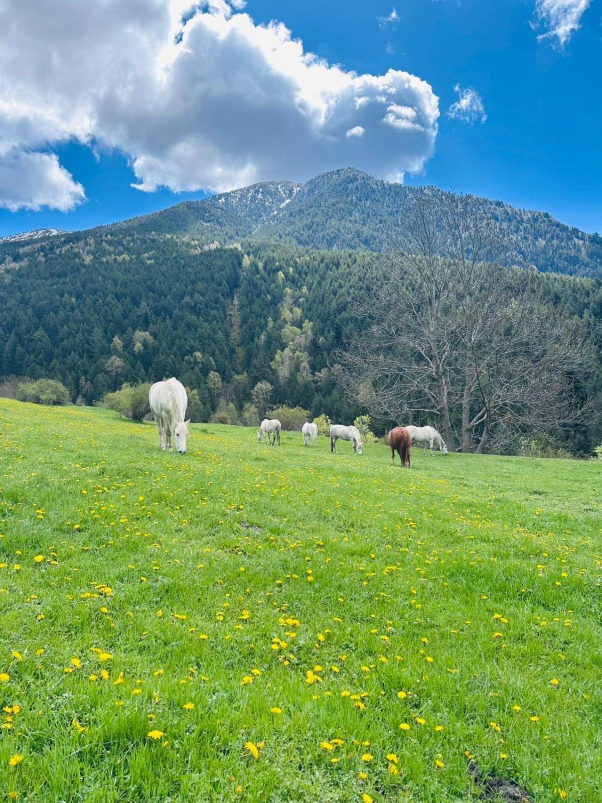 Hotel Valls Valira Os de Civís Buitenkant foto